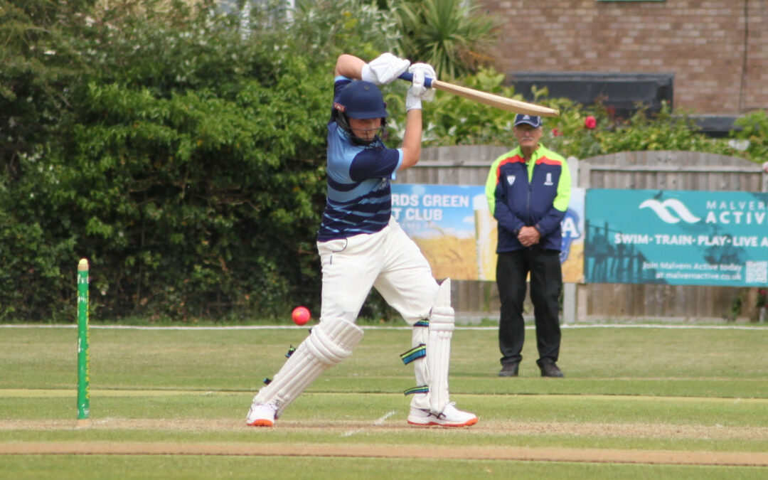 Gloucestershire Disability Cricket Roundup