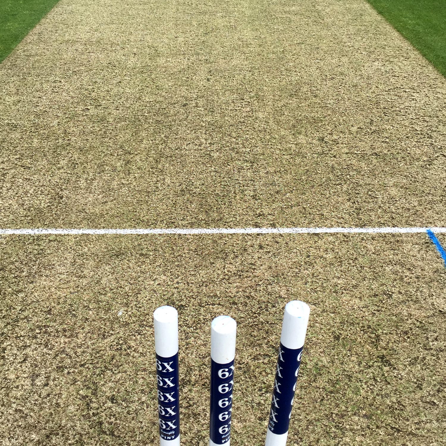Cricket Surface Types