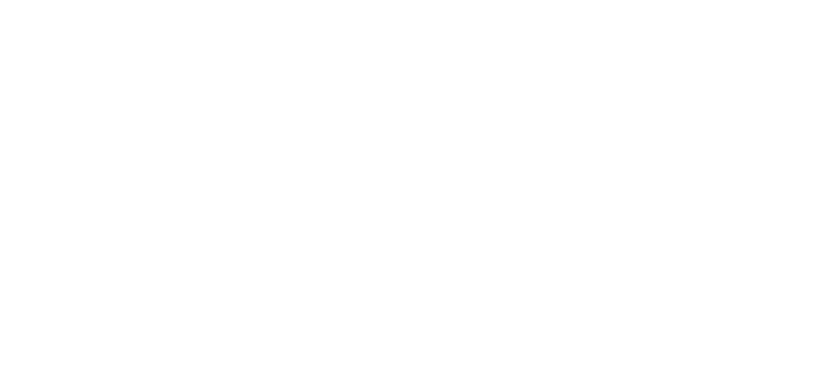 ESSI White (LOGO)