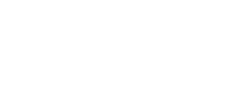 Lions Sports Travel White (LOGO)