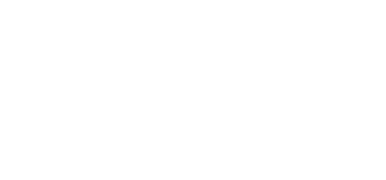 Willow Turf Care (LOGO)